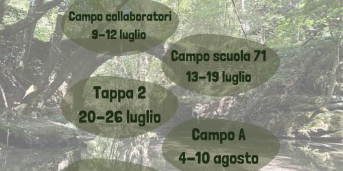 Immagine WhatsApp 2025-05-29 ore 23.16.18_afa4fd07 Immagine WhatsApp 2025-05-29 ore 23.16.18_afa4fd07